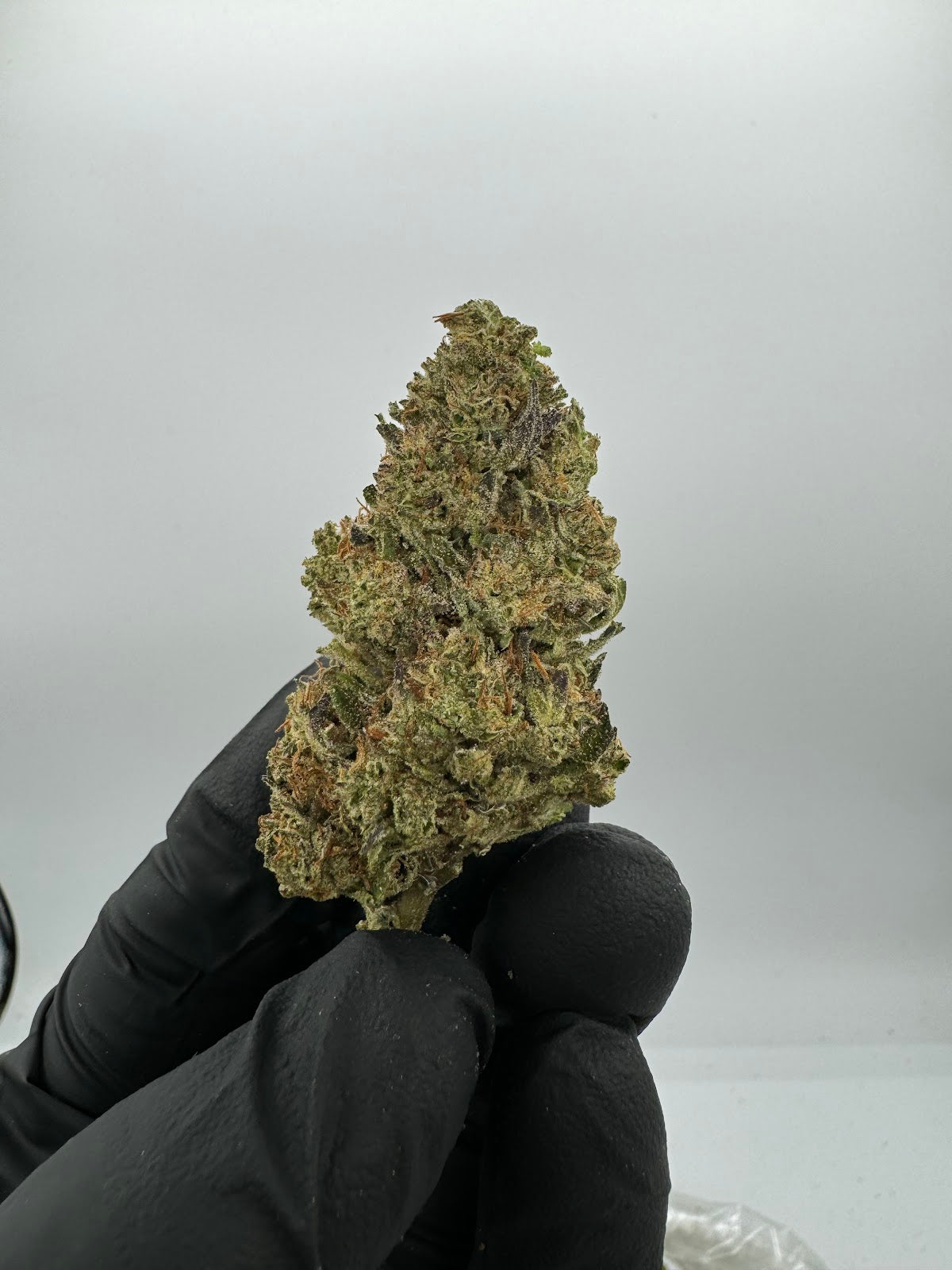 Oreo Blizzy THCA Flower Pounds