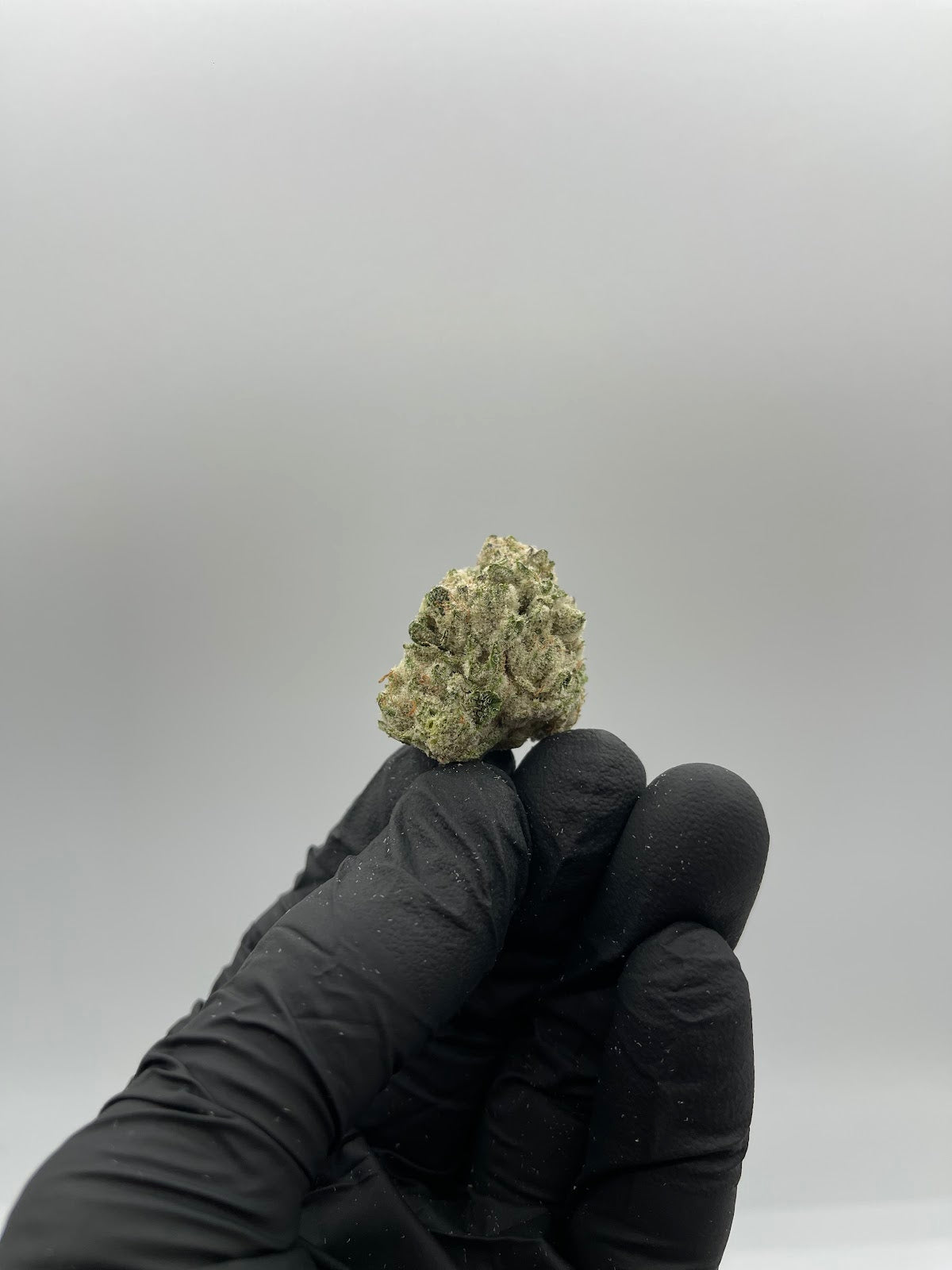 Modified Mintz THCA Flower Pounds