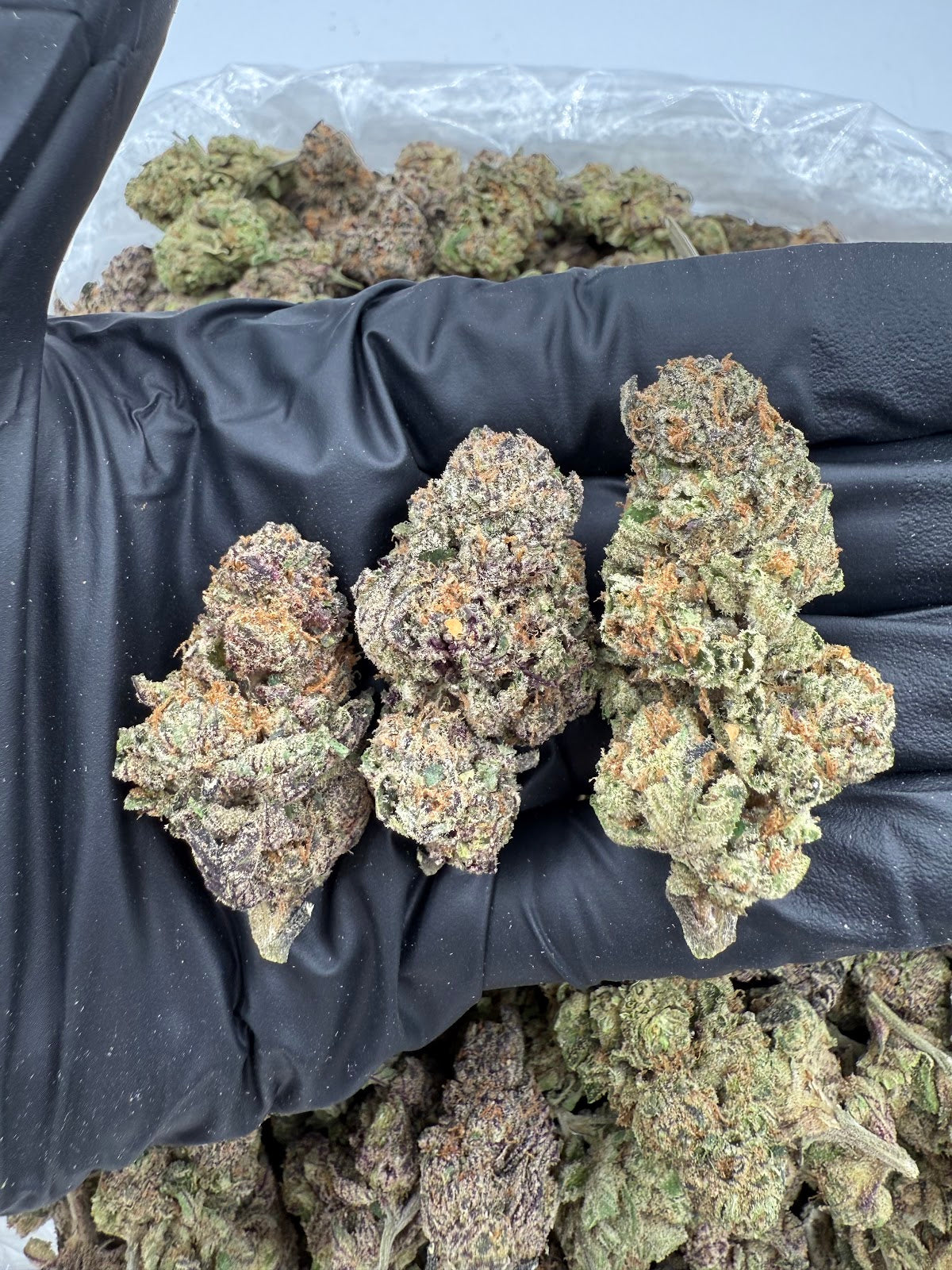 Jelousy THCA Flower Pounds