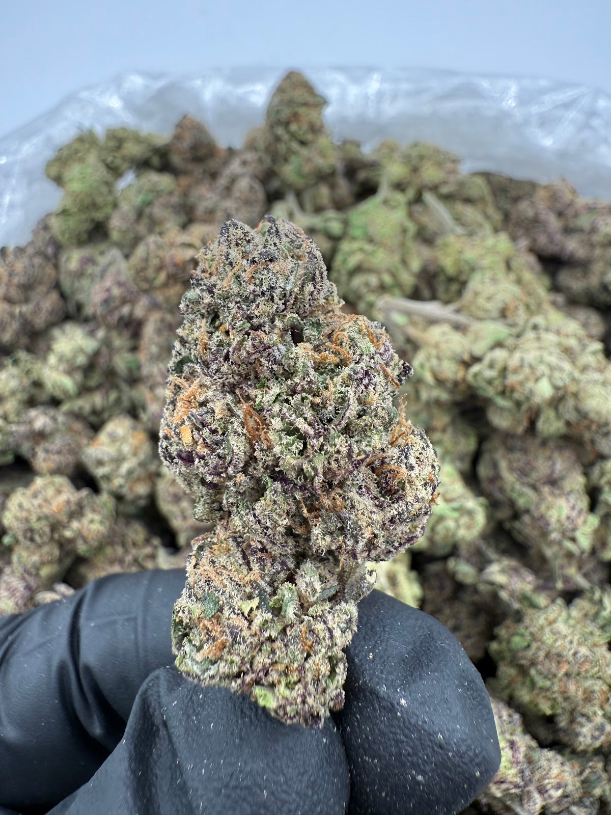 Jelousy THCA Flower Pounds