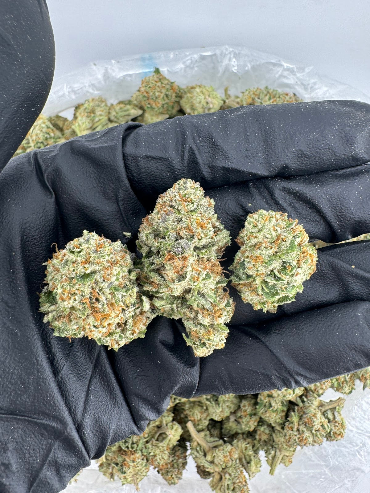Illemonati THCA Flower Pounds