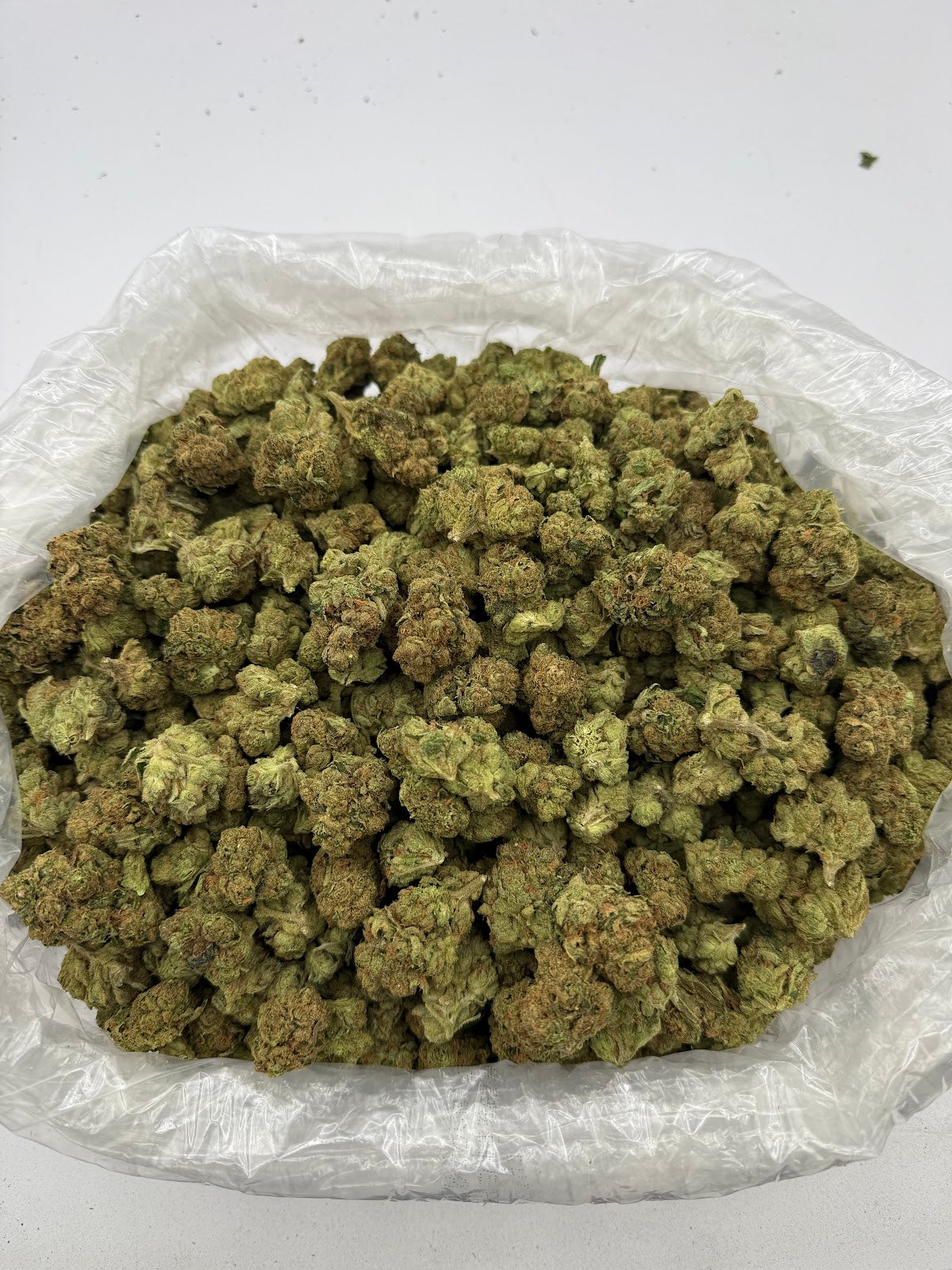 Jack Herer THCA Flower Pounds