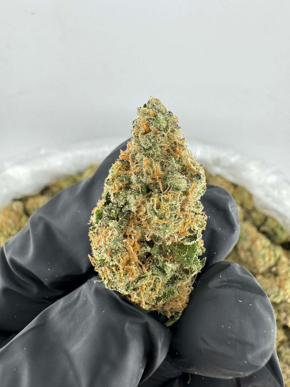 Glitteratti THCA Flower Pounds
