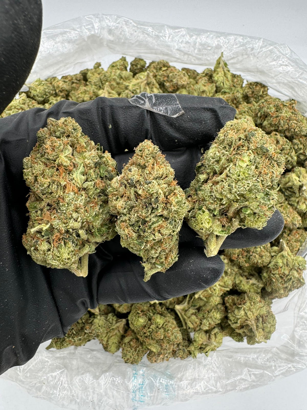 Orange Julius THCA Flower Pounds