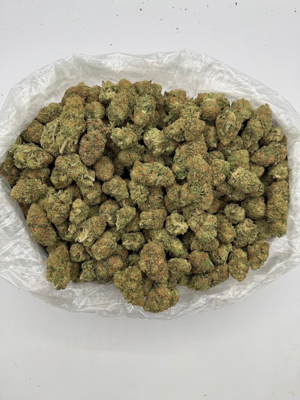 Garlotti Runtz THCA Flower Pounds
