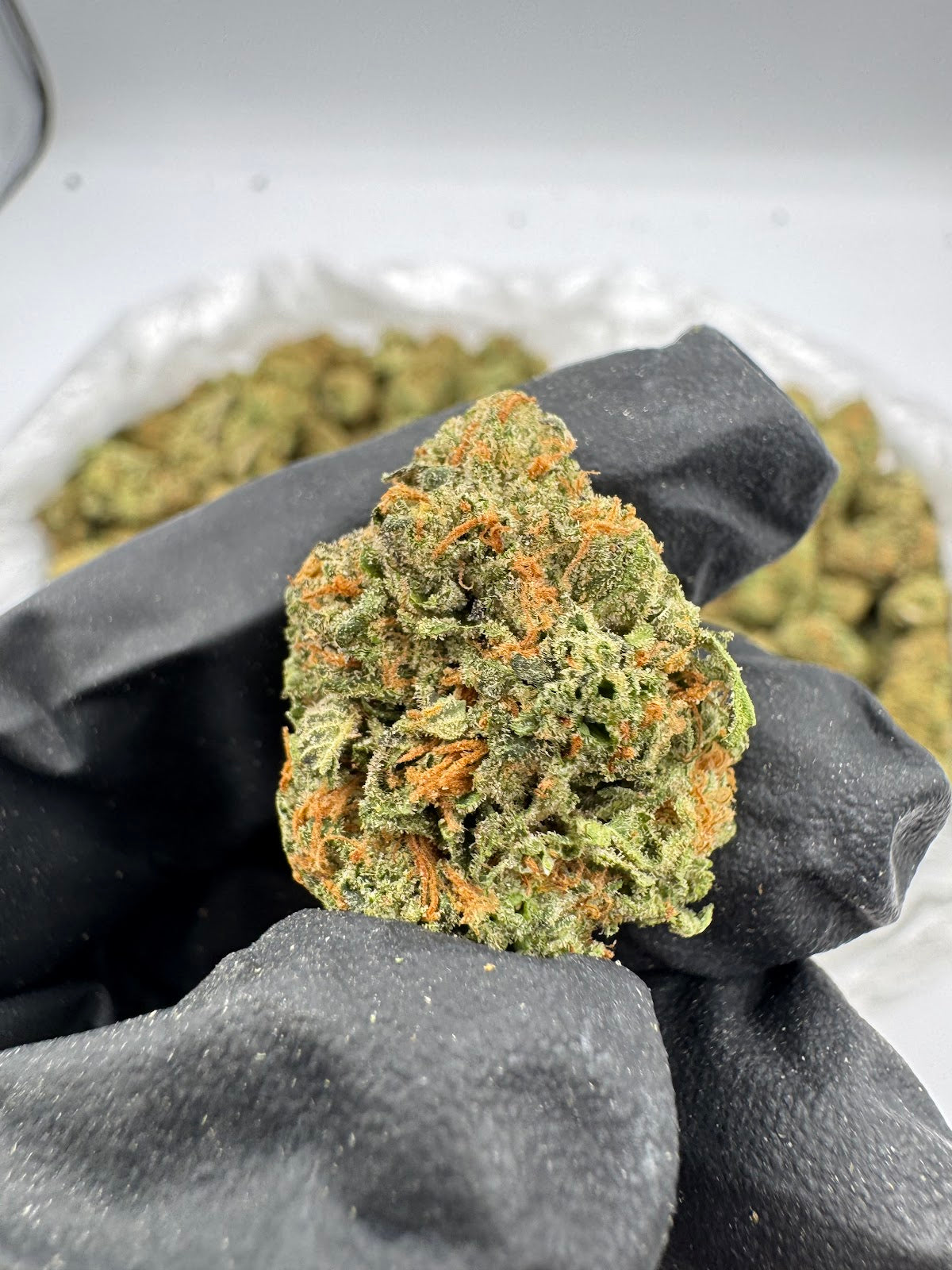 Garlotti Runtz THCA Flower Pounds