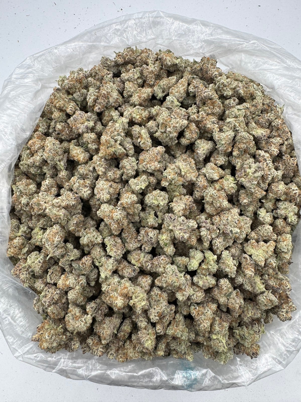 Benny Blanco THCA Flower Pounds