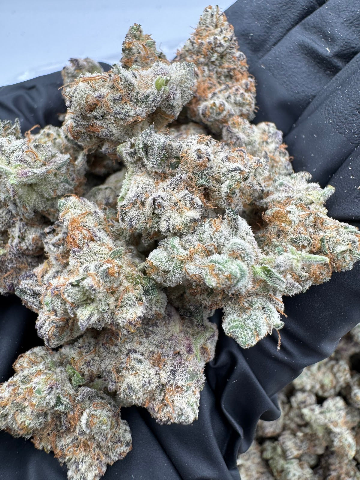 Benny Blanco THCA Flower Pounds