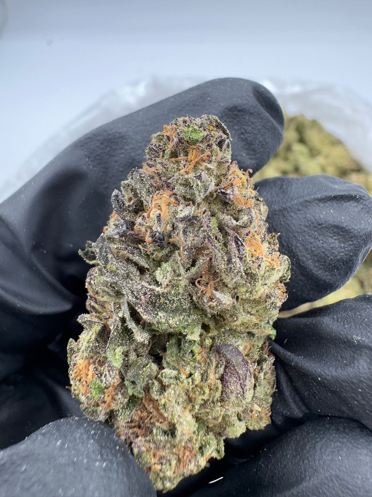 Ice Cream Cake THCA Flower Pounds