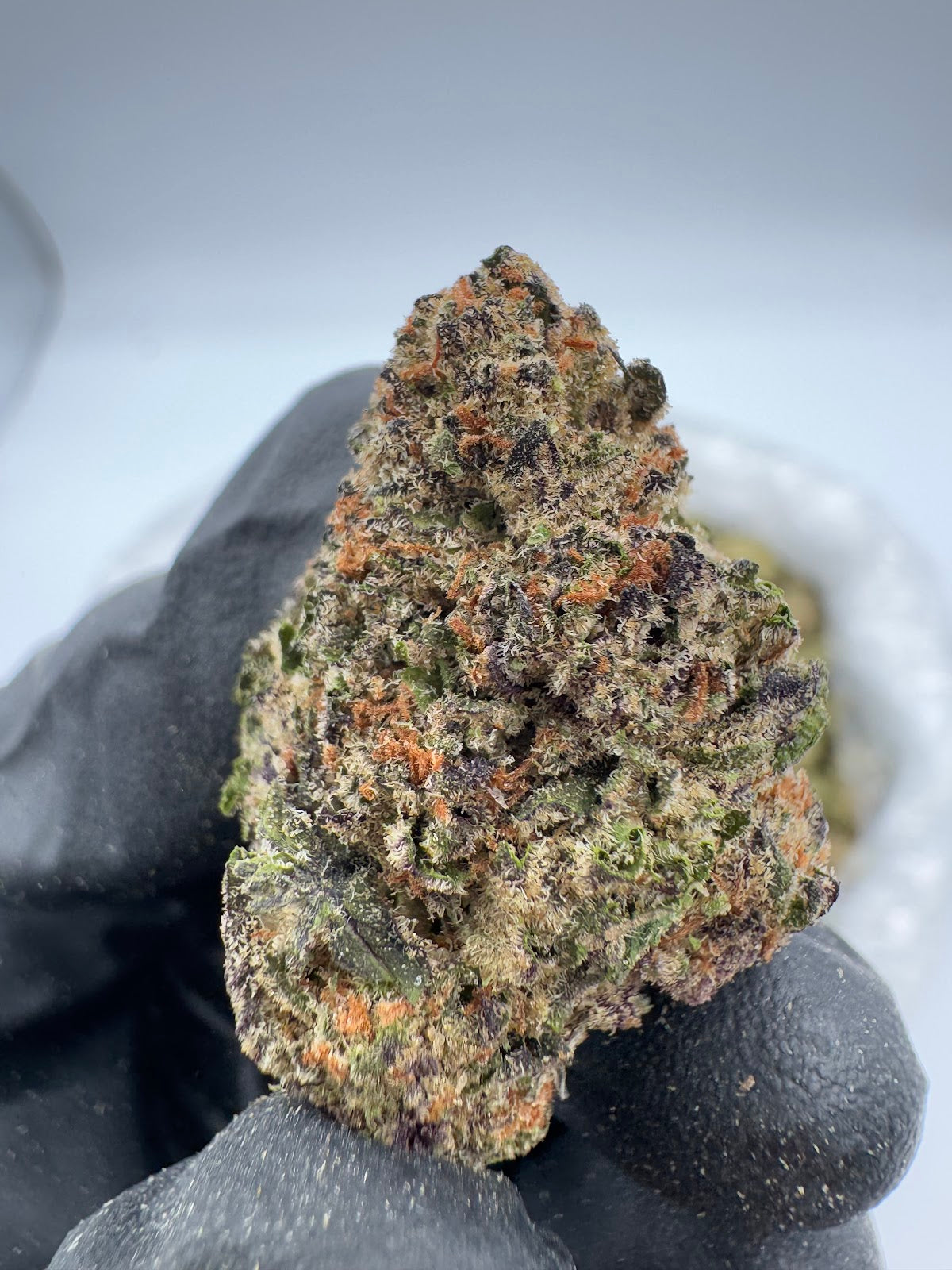 Pink Certz THCA Flower Pounds