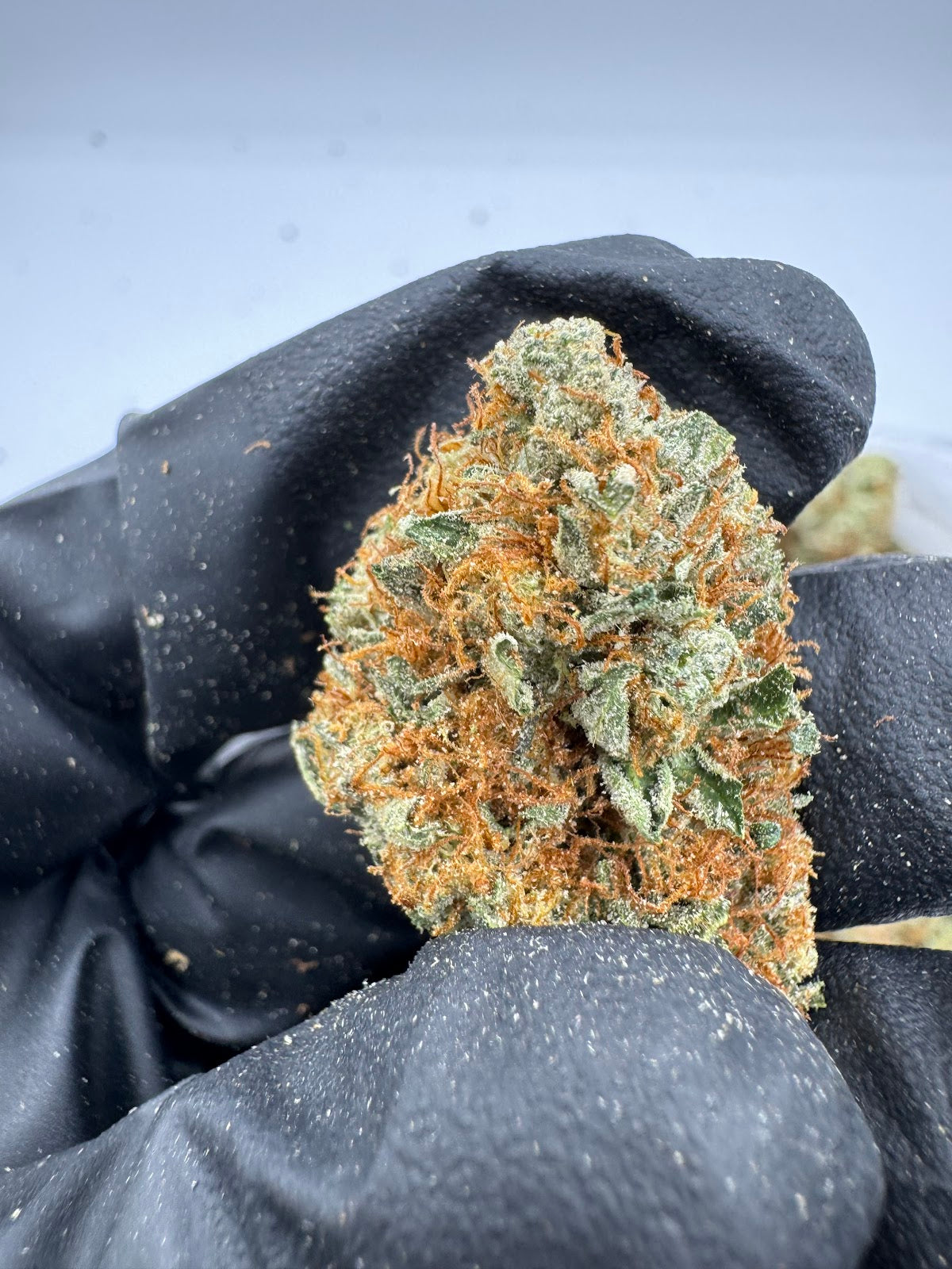 Sherblato THCA Flower Pounds