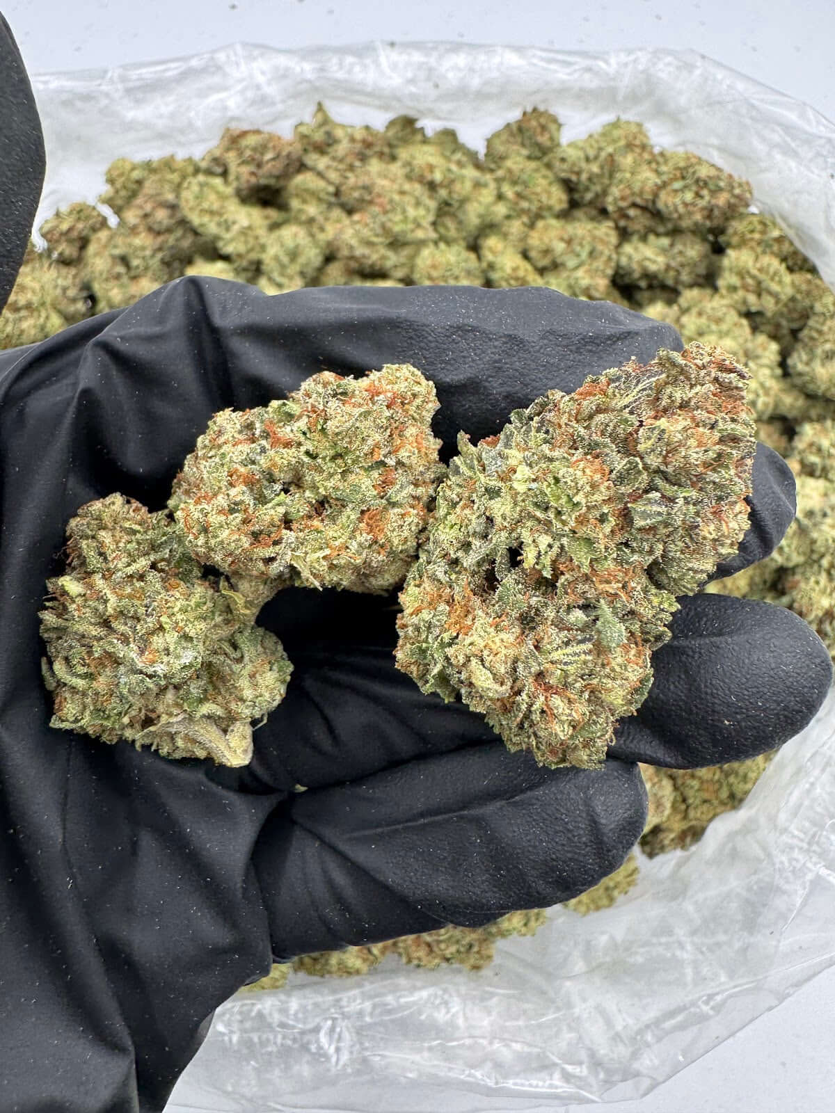 Violet Fog THCA Flower Pounds