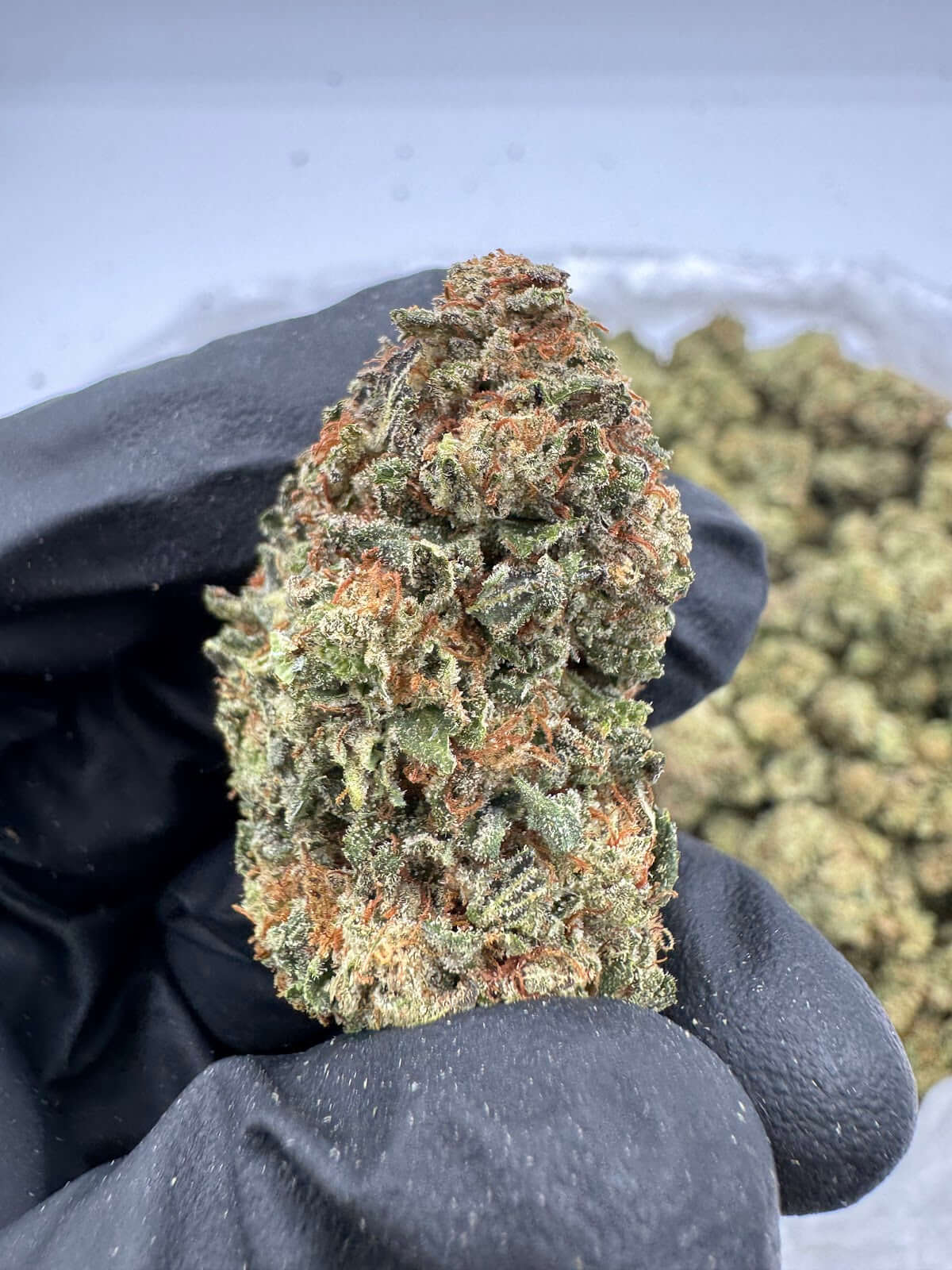 Violet Fog THCA Flower Pounds
