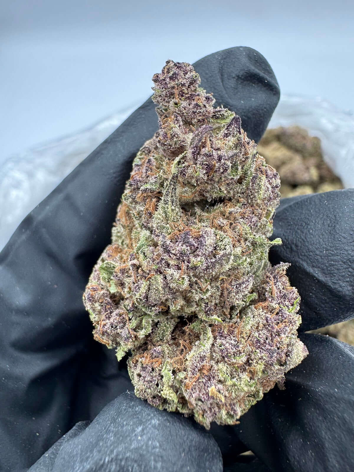 Tropical Summer THCA Flower Pounds