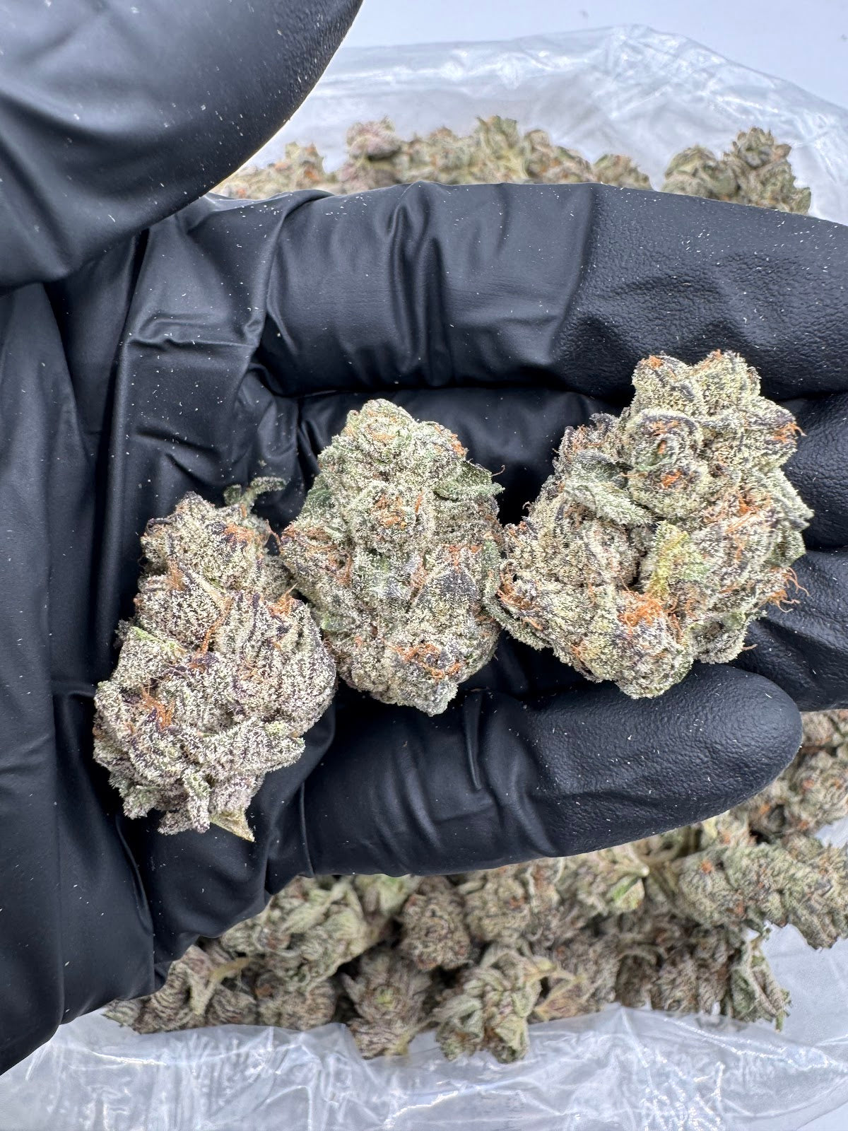 Purple Cookies THCA Flower Pounds