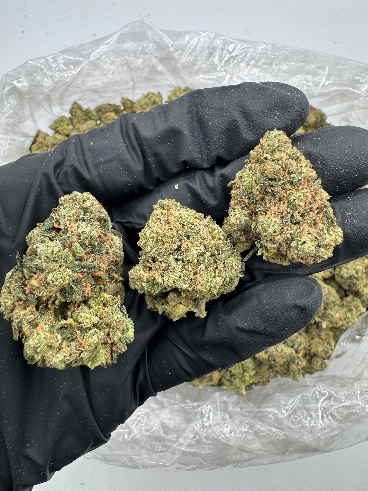 Maui Wowie THCA Flower Pounds