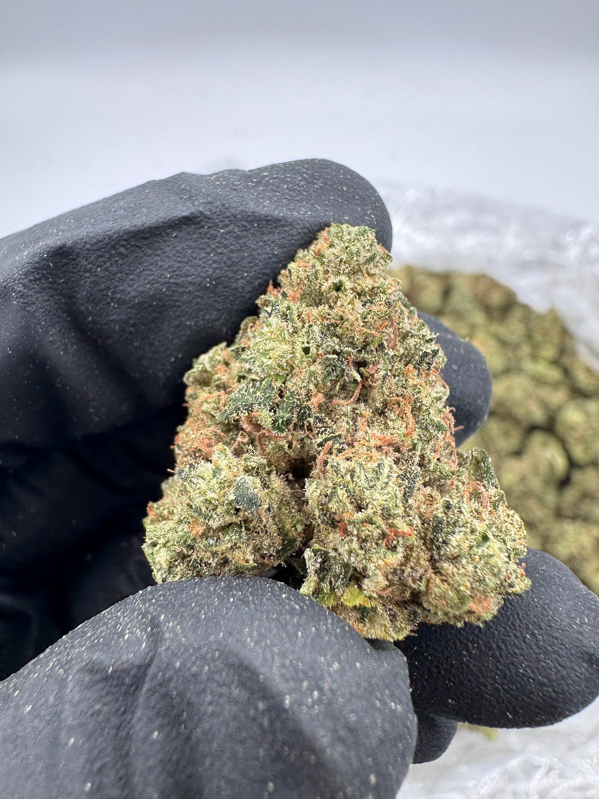 Maui Wowie THCA Flower Pounds