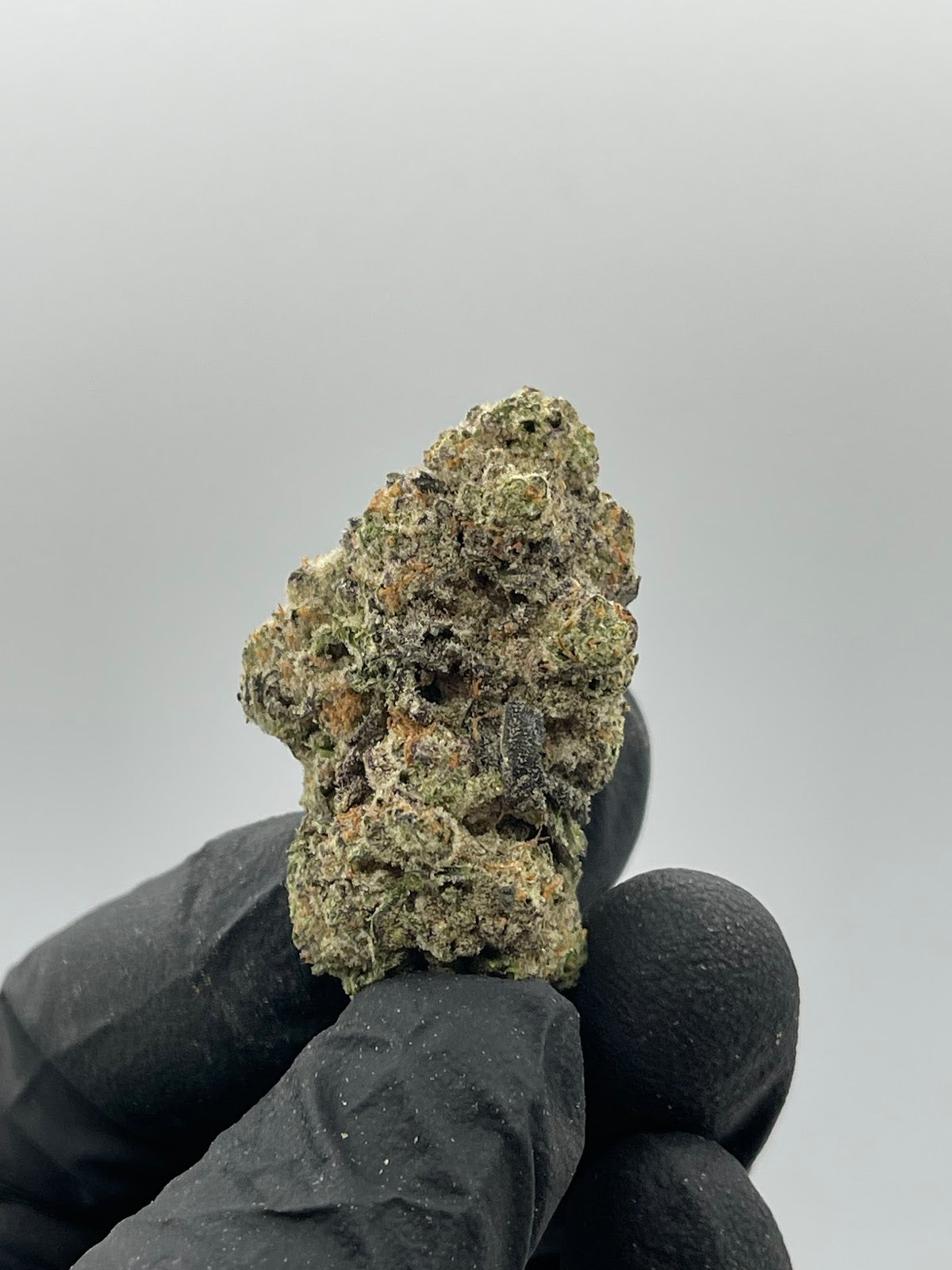 Lemon Bars THCA Flower Pounds