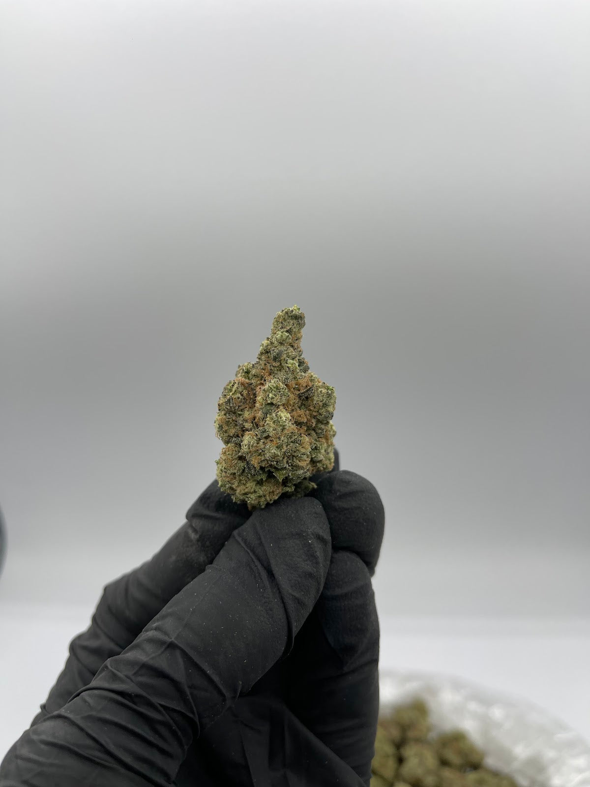 Jet Fuel Gelato THCA Flower Pounds