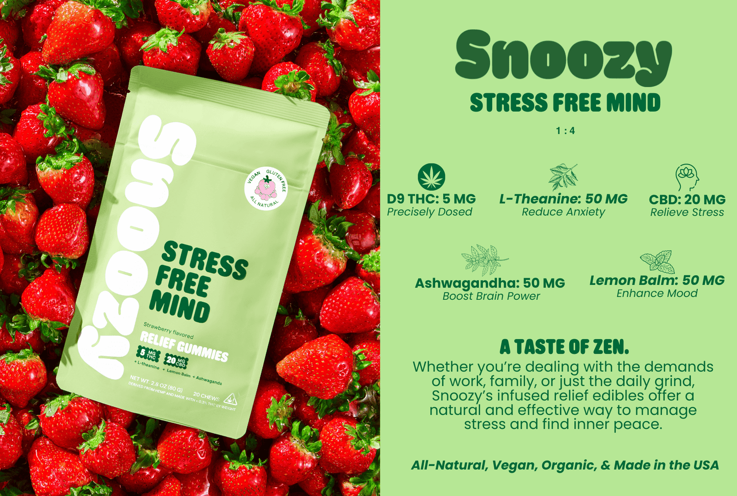 Stress Free Mind
