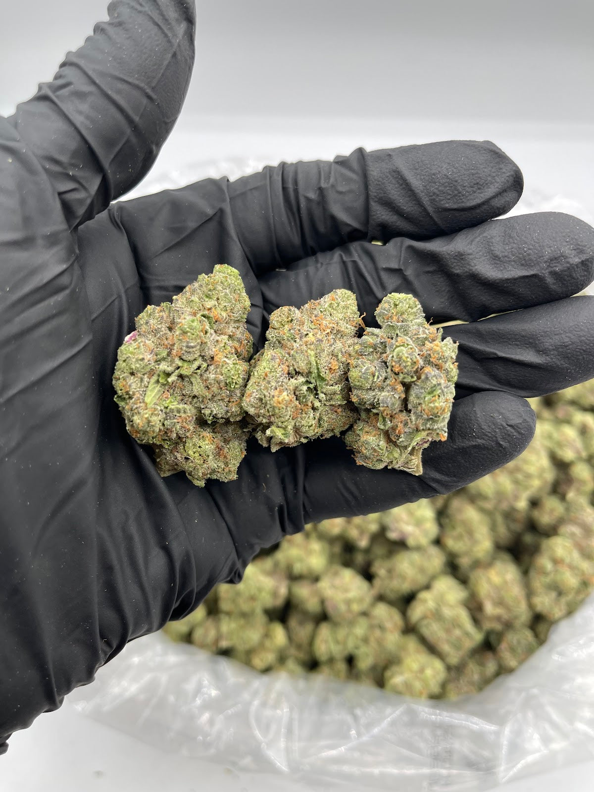 Apple Fritter THCA Flower Pounds