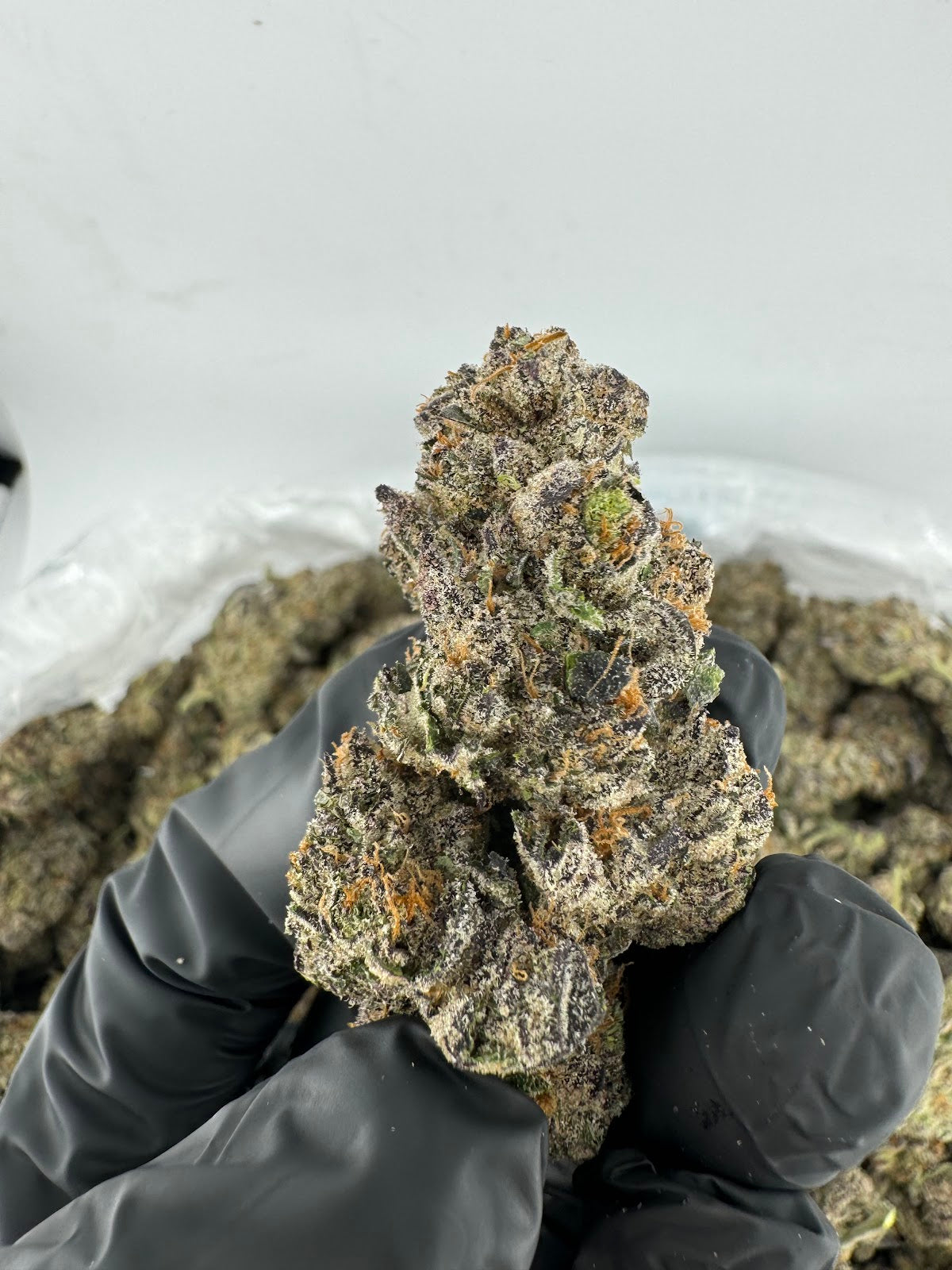 Girl Scout Cookies THCA Flower Pounds