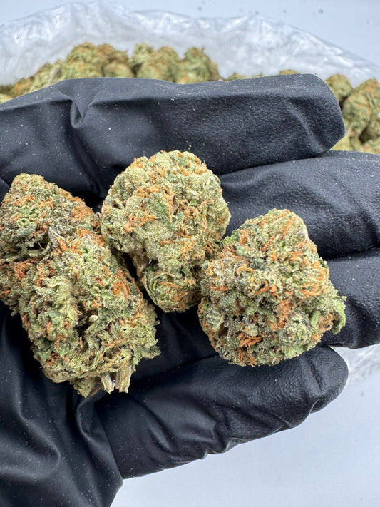 Garlotti Runtz THCA Flower Pounds