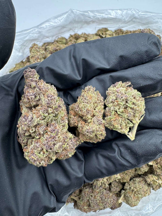 Tropical Summer THCA Flower Pounds