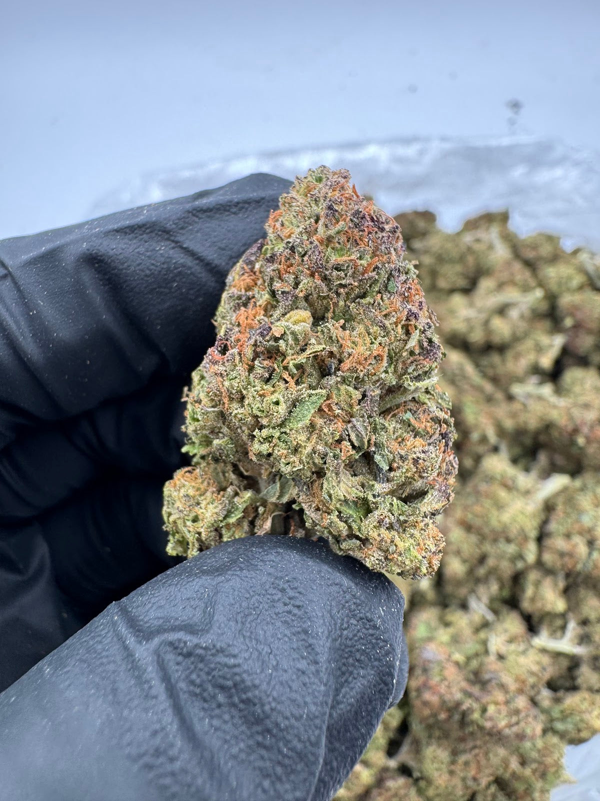 Carbon THCA Flower Pounds