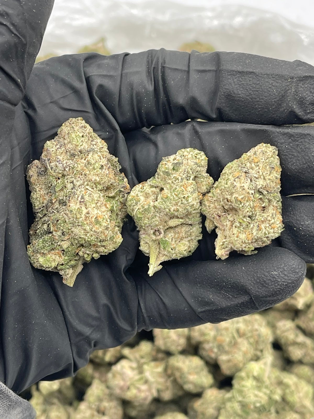 Lemon Bars THCA Flower Pounds