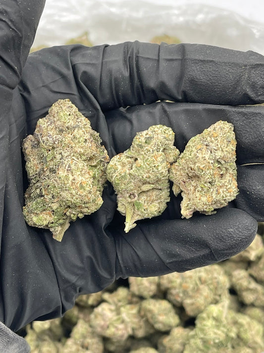 Lemon Bars THCA Flower Pounds