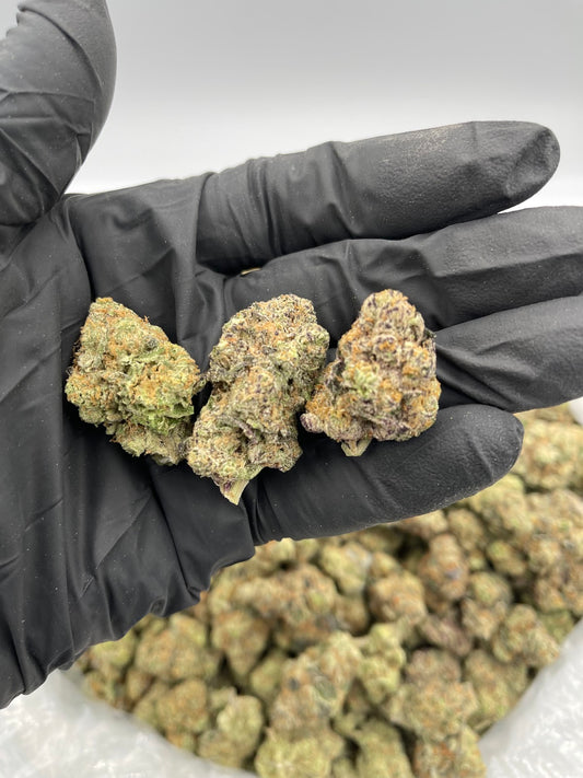 Jet Fuel Gelato THCA Flower Pounds